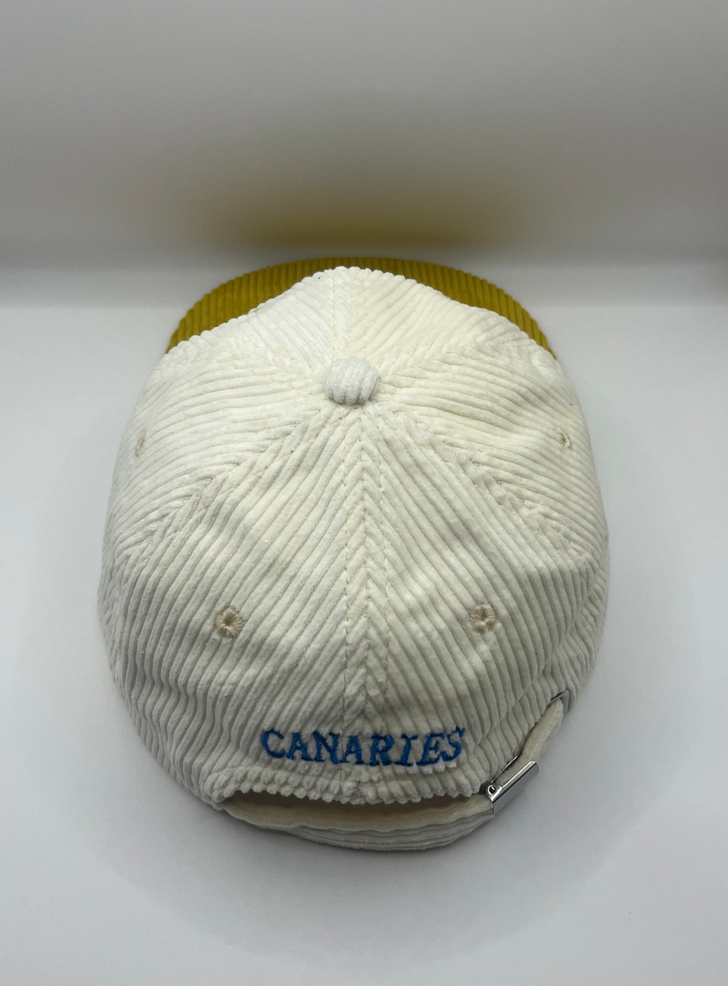 Canaries Retro Lid