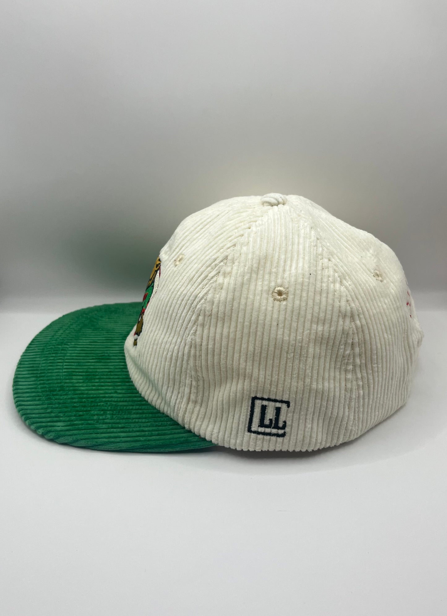 Cougars Retro Lid