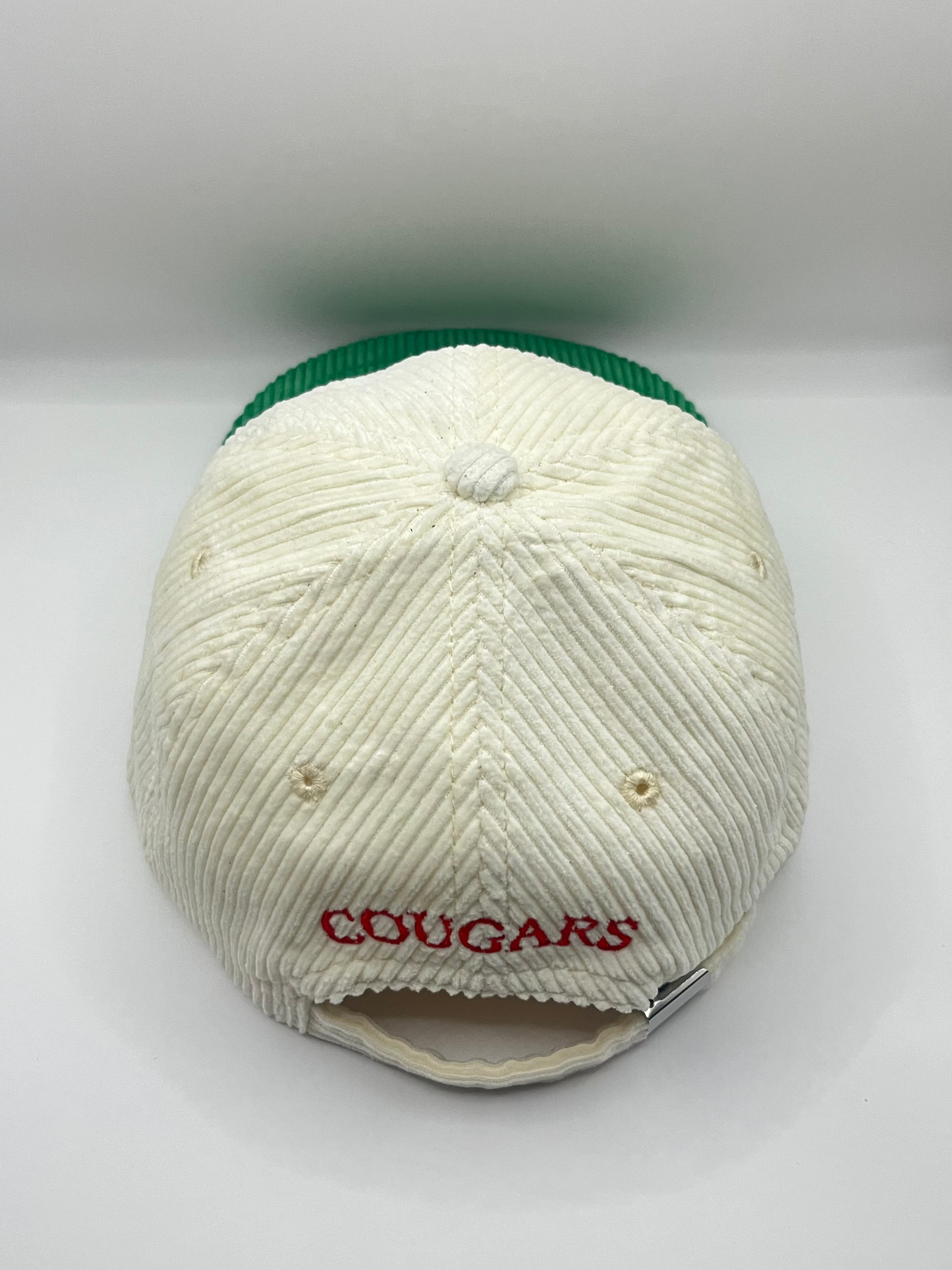 Cougars Retro Lid