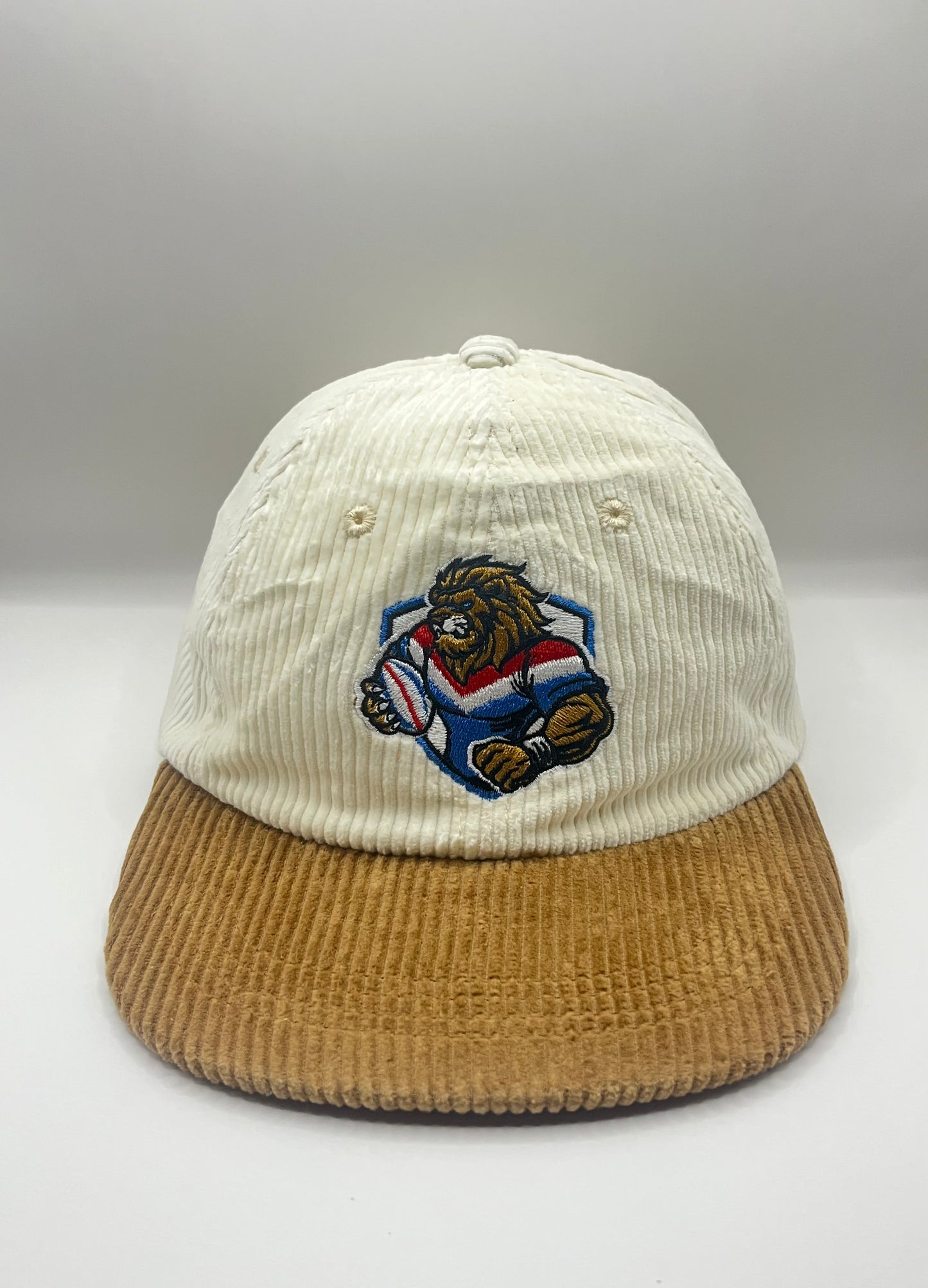Lions Retro Lid