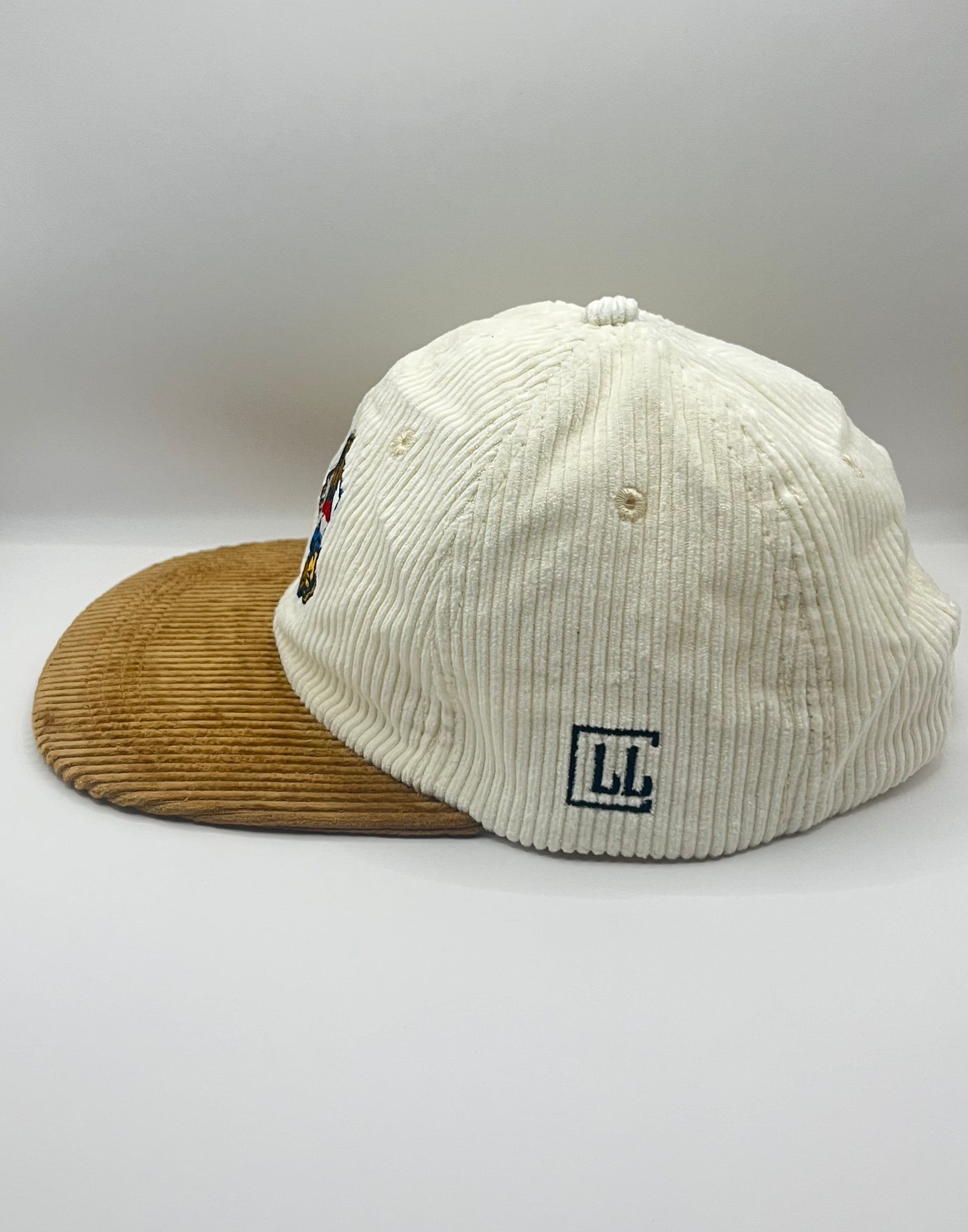 Lions Retro Lid